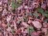 20180921_191739.jpeg