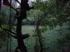 20180922_062429.jpg