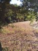 20180922_083153.jpg