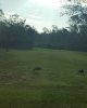 20180923_144209.jpeg
