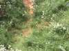 B03EC75C-124E-45D8-8D57-E5E990BCE6E0.jpeg