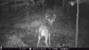 blue eye lick 9-22-18 487.JPG
