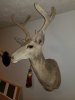 20180821_225702.jpg