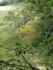 20180928_161009.jpg