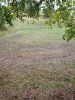 20180928_172432.jpeg