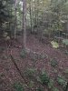 Image1538220651.218434.jpg