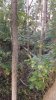 20180929_075609.jpg