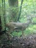 IMG_3037.JPG
