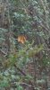 20180930_075938.jpeg