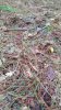20180930_080957.jpeg
