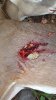 20180930_082005.jpeg