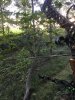 Image1538604740.972221.jpg