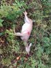 Image1538697351.806527.jpg