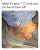 FB_IMG_1538777704293.jpeg