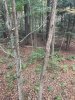 Image1538778168.525108.jpg