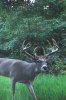 20181005_190847.jpg