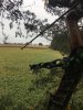 Image1538854067.718104.jpg