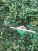 Image1538861245.897754.jpg