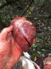 Image1538865704.626300.jpg
