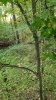 20181007_170955.jpg