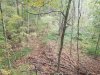 20181007_162649.jpg