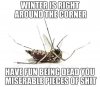 FB_IMG_1538959551153.jpg