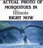 FB_IMG_1538961061031.jpg