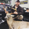 2018-09-28 10_09_45-Dennis Goyette (@dennisg34) • Instagram photos and videos.png