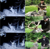 2018-10-08 07_56_25-Dennis Goyette (@dennisg34) • Instagram photos and videos.png