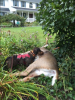 2018-09-28 11_18_35-NH Bow Hunters.png