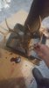 20181008_221428.jpeg