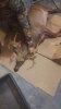 20181008_220942.jpeg