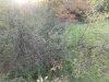IMG_20181009_173431716.jpeg