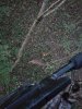 20181011_064148.jpg