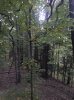 IMG_4270.jpg