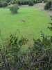 20181011_180940.jpg