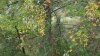 20181012_170844.jpg