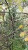 20181012_170635.jpg