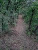 20181013_072914.jpg