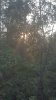 20181012_180742.jpeg