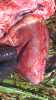 3C83CDEA-F306-4CE1-B386-8DCDCB817BBC.png