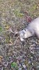 20171108_082758.jpg