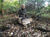 Image1539702429.873366.jpg