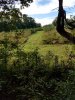 20181017_153314.jpg