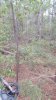 20181017_171243.jpeg