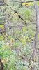 20181017_175658.jpg