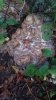 20181017_180312.jpeg
