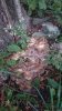 20181017_180304.jpeg