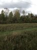 IMG_4300.jpg