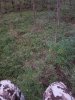 20181018_070519.jpg
